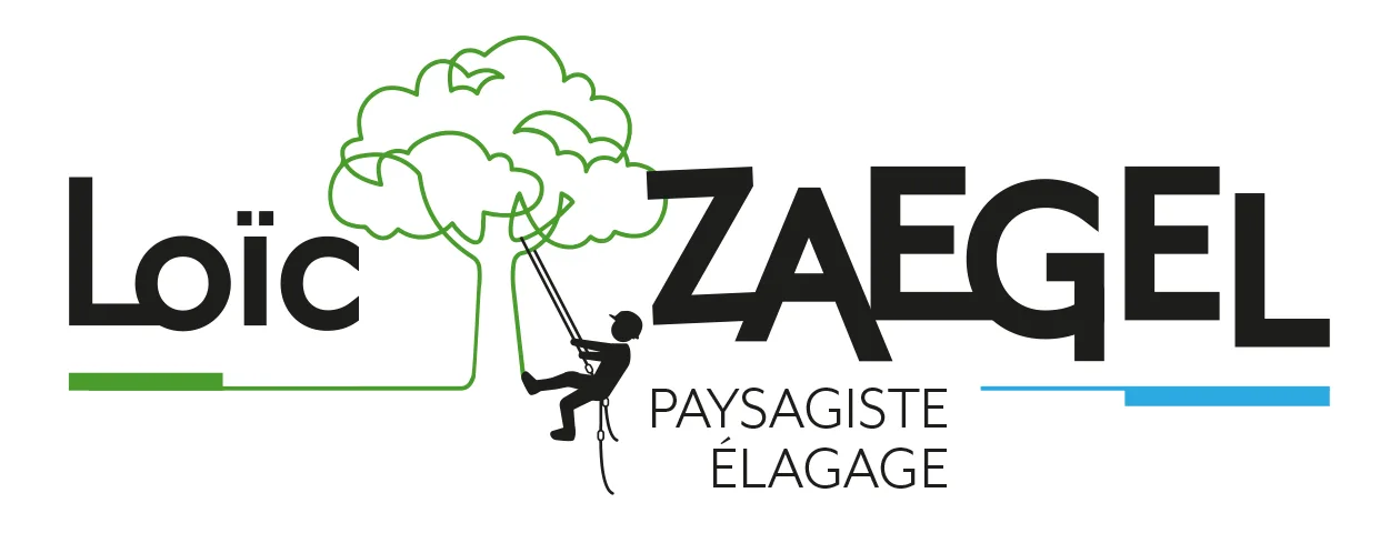ZAEGEL_logo_long