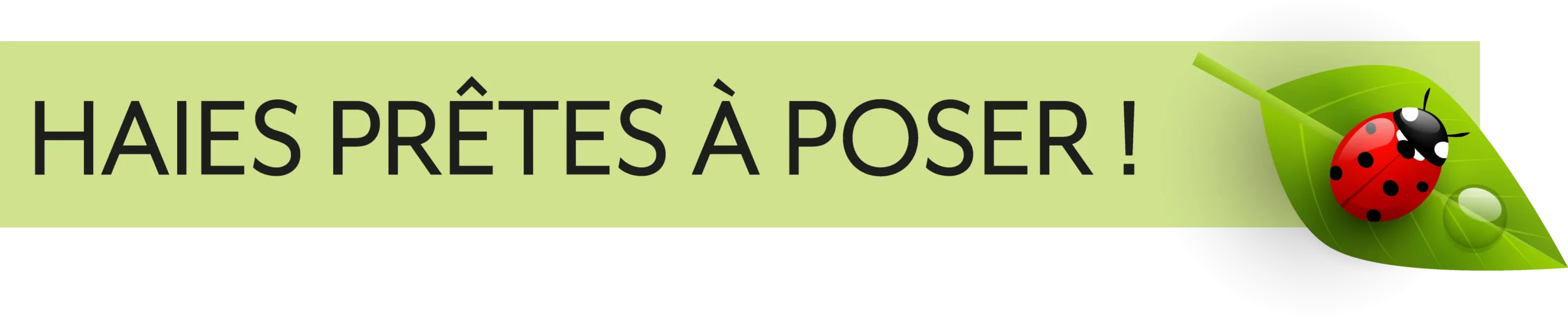 ZAEGEL_LOGO_HAIES
