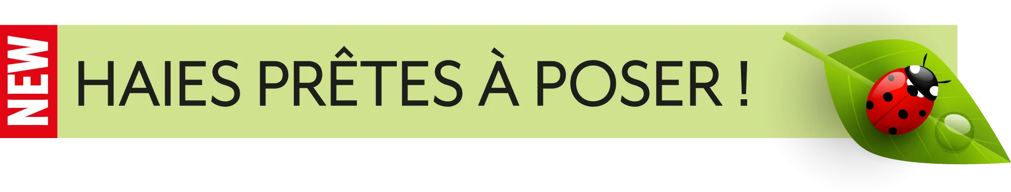ZAEGEL_LOGO_HAIES